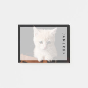 Post-it® Animaux de bébés cutest Ginger Kitten