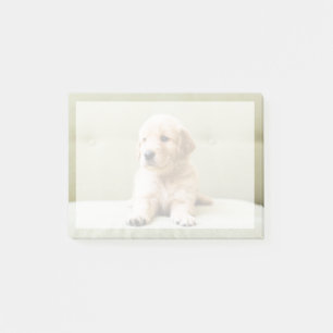 Post-it® Animaux de bébés cutest Golden Retriever Puppy