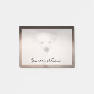 Post-it® Animaux de bébés cutest   Golden Retriever Snuggle