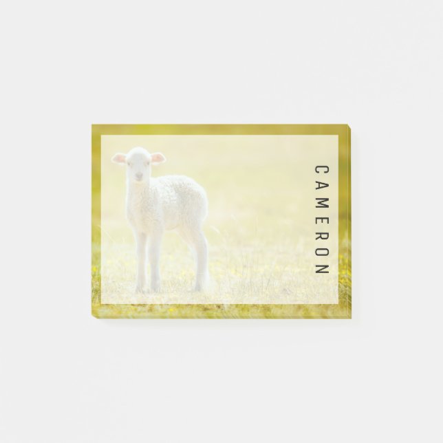 Post-it® Animaux de bébés cutest | Jeune mouton (Devant)