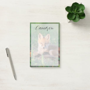 Post-it® Animaux de bébés cutest   Kit Red Fox Relaxant