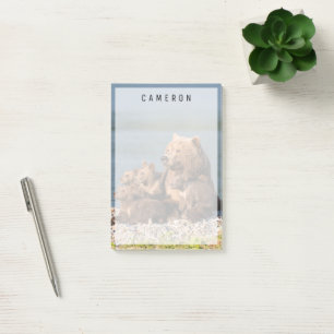 Post-it® Animaux de bébés cutest   Mère Ours & Cubs