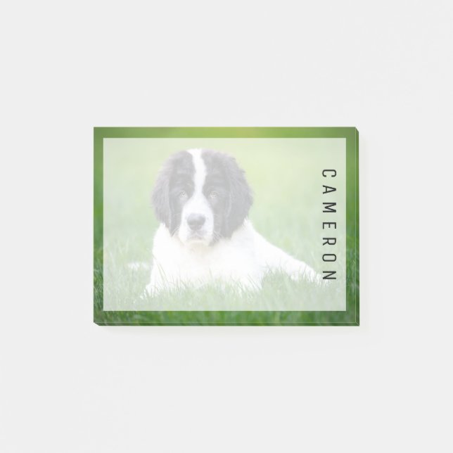 Post-it® Animaux de bébés cutest | Newfoundland Puppy (Devant)