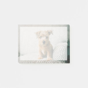 Post-it® Animaux de bébés cutest Norfolk Terrier Puppy