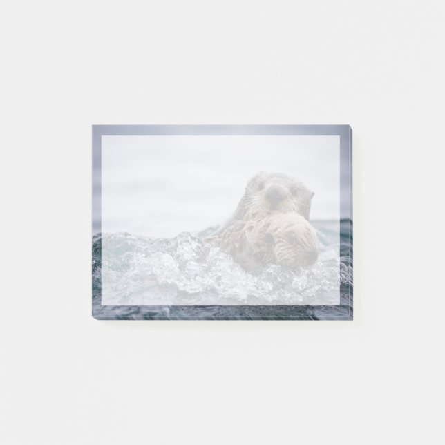 Post-it® Animaux de bébés cutest | Otter Baby & Mère (Devant)