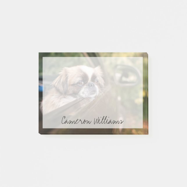 Post-it® Animaux de bébés cutest | Pekingese Chiot en voitu (Devant)