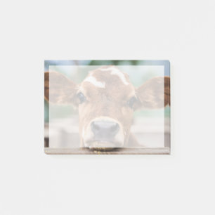 Post-it® Animaux de bébés cutest   Petite vache