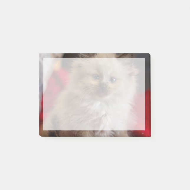 Post-it® Animaux de bébés cutest | Siamese Kitten (Devant)