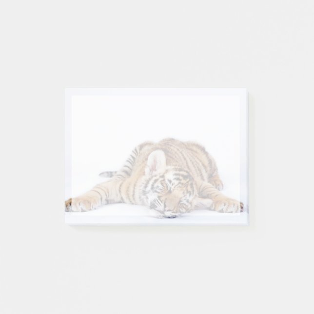 Post-it® Animaux de bébés cutest | Sleepy Baby Tiger Cub (Devant)