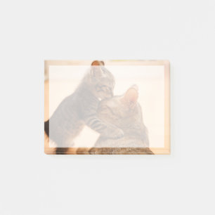 Post-it® Animaux de bébés cutest Tabby Kitten Kiss