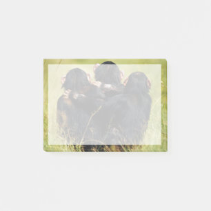 Post-it® Animaux de bébés cutest   Trois chimpanzés en trai