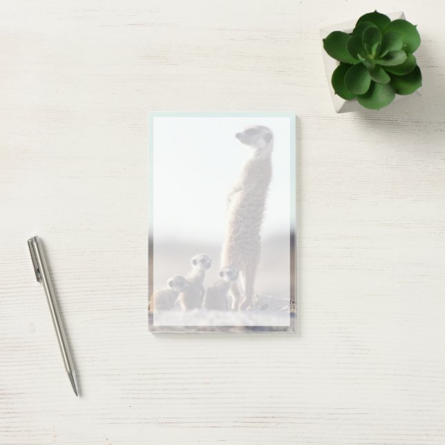 Post-it® Animaux de bébés cutest | Une famille de Meerkats (Bureau)