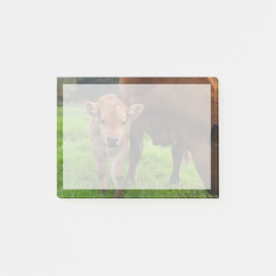 Post-it® Animaux de bébés cutest Vache et veau