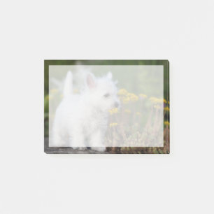 Post-it® Animaux de bébés cutest West Highland White Terr