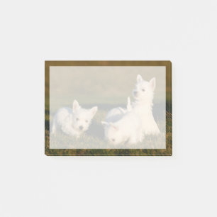 Post-it® Animaux de bébés cutest West Highland White Terr