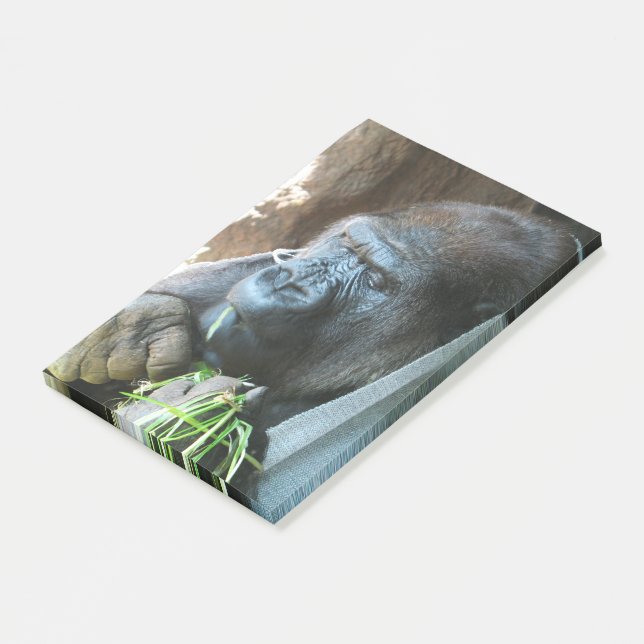 Post-it® Ape hood ~ Japonais Gorilla Manger (Incliné)