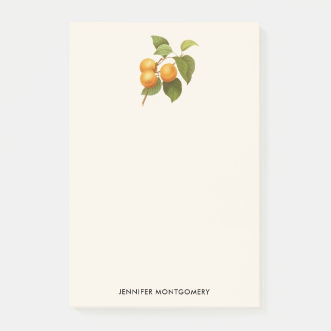 Post-it® Apricots orange vintage (Devant)