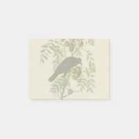 Audubon American Crow Black Bird
