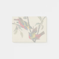 Audubon Peint Bunting Bird Wildlife
