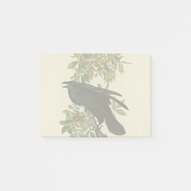 Post-it® Audubon Raven Oiseau classique (Devant)