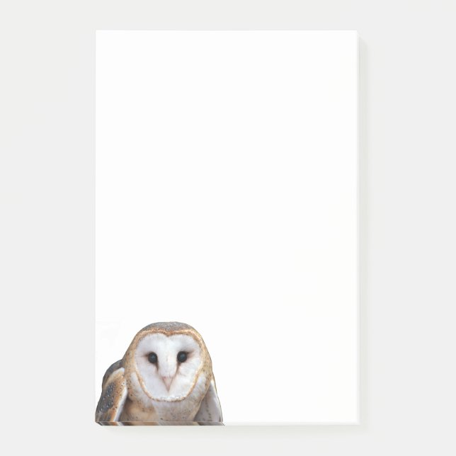 Post-it® Barn Owl Photo 4x6 Notes Papeterie (Devant)