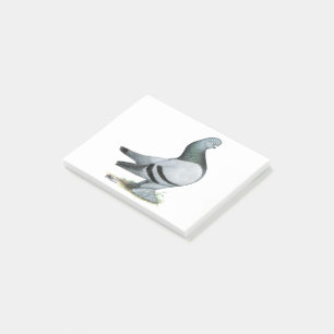 Post-it® Barre Bleue Berliner Tumbler Pigeon
