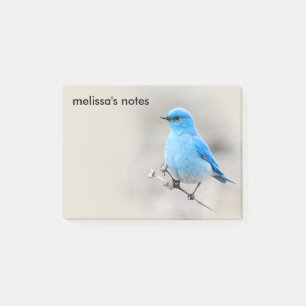 Post-it® Beau oiseau bleu de montagne