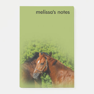 Post-it® Beaux Chevaux de Châtaignier au soleil d'été