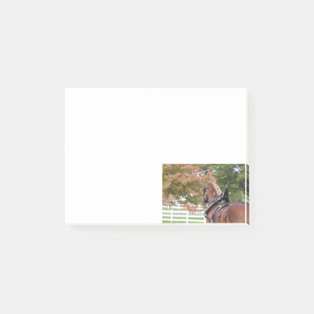 Post-it® Belge Draft Horse Post Il note (Devant)