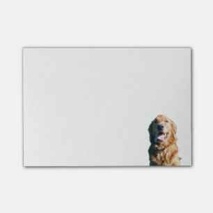 Post-it® Bloc-notes de golden retriever
