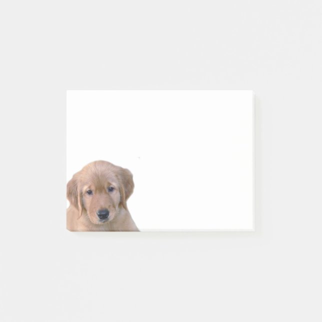 Post-it® Bloc-notes de post-it de golden retriever (Devant)