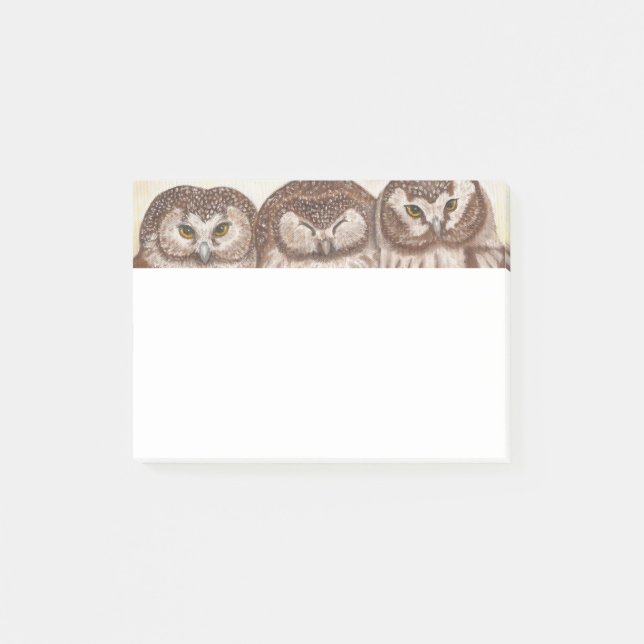 Post-it® Bloc-notes de post-it de hibou (Devant)