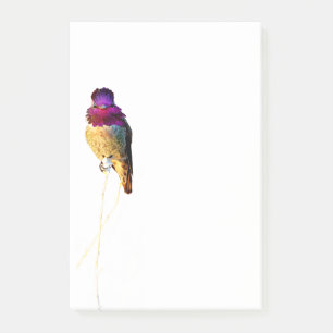 Post-it® Bloc-notes photo de Colibri d'Anna 4x6