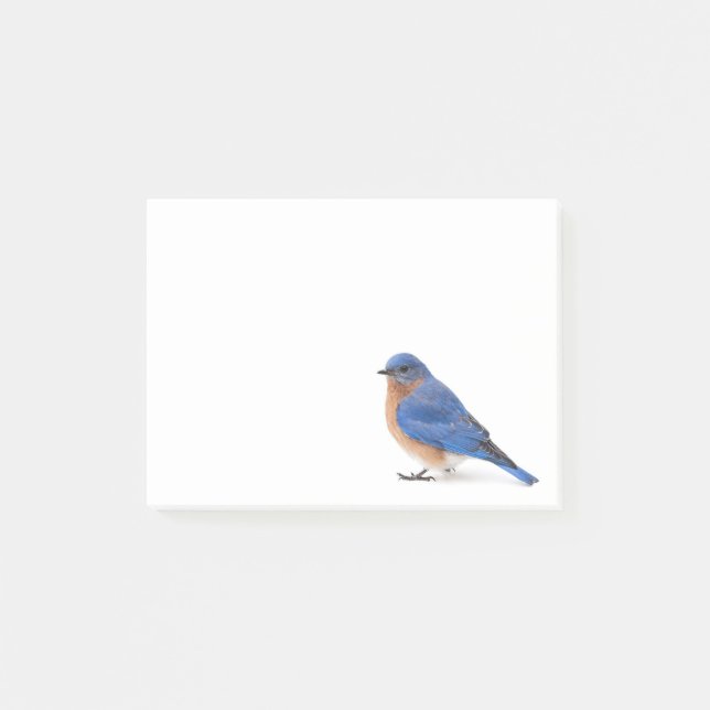 Post-it® Bluebird (Devant)