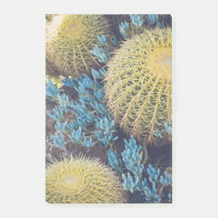 Post-it® Boho Cactus Garden