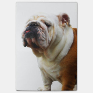 Post-it® Bouledogue