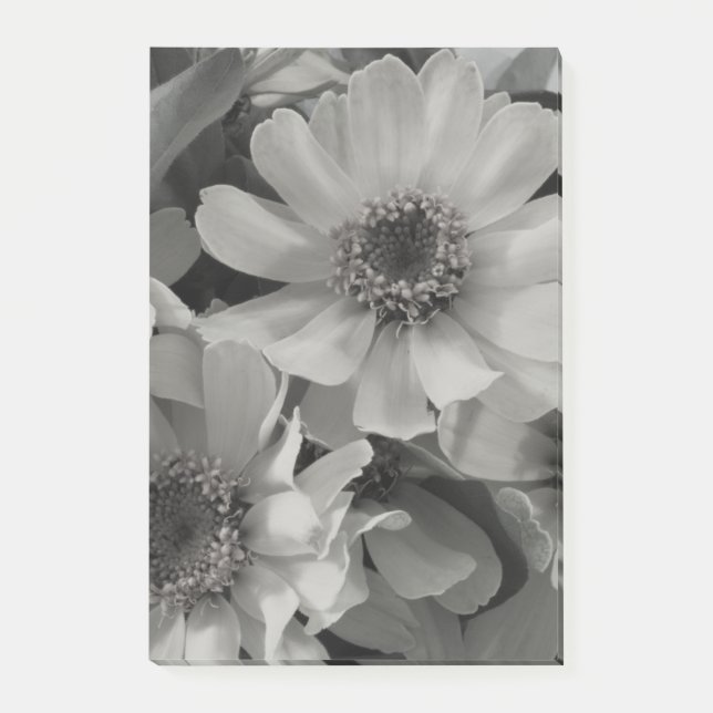 Post-it® Brown Eyed Susan Flowers (Devant)