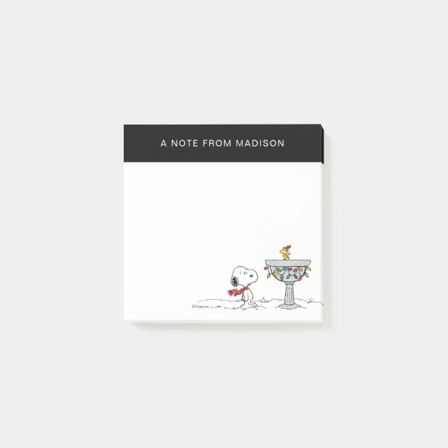 Post-it® cacahuètes | Snoopy & Woodstock Froid Birdbath (Devant)