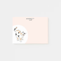 Calico Cat
