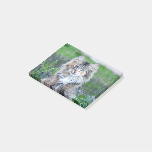 Post-it® Calico Cat (Incliné)