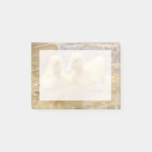 Post-it® Canetons jaunes brouillés des images   de Getty