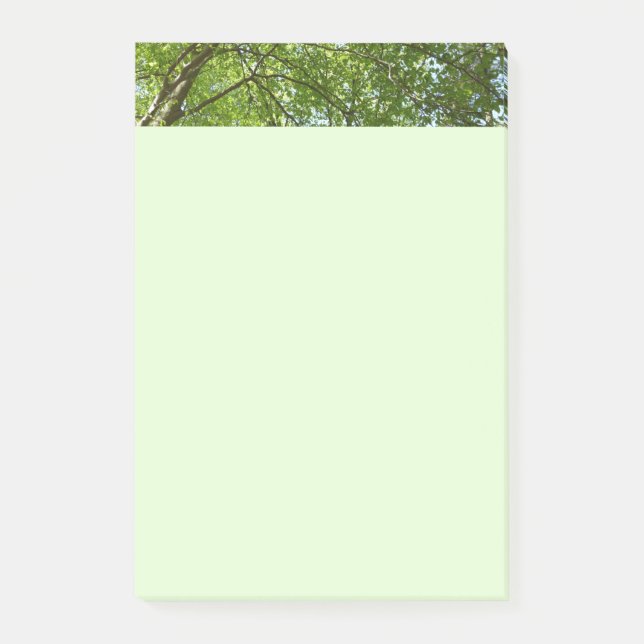 Post-it® Canopée du printemps Feuille Green Nature Scene (Devant)