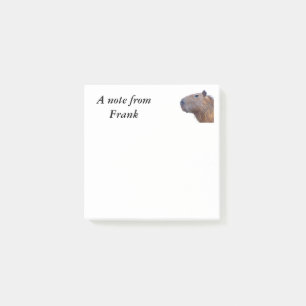 Post-it® Capybara