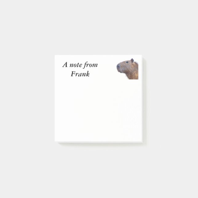 Post-it® Capybara (Devant)