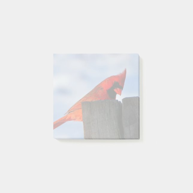Post-it® Cardinal rouge sur la souche en bois (Devant)