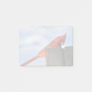 Post-it® Cardinal rouge sur la souche en bois