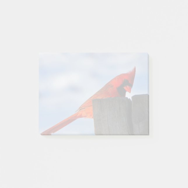 Post-it® Cardinal rouge sur la souche en bois (Devant)