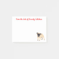 Carlin Maman Chien Chien, Papa Secourt Des Chiots