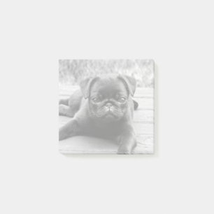 Post-it® Carlin mignon Amoureux des chiens chiot noir et bl