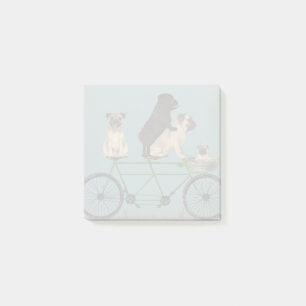Post-it® Carlin Tandem